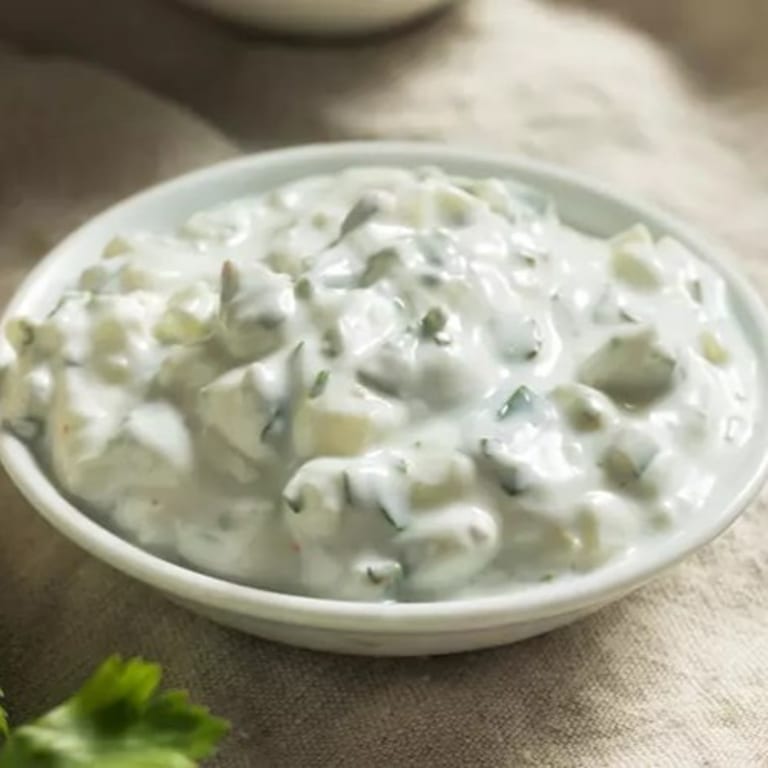 Savor Our Tzatziki Sauce
