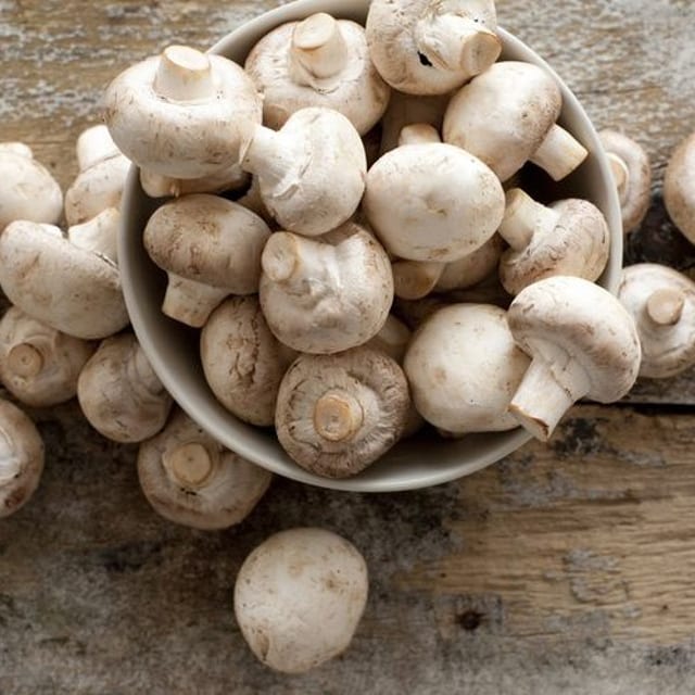 MUSHROOMS.
